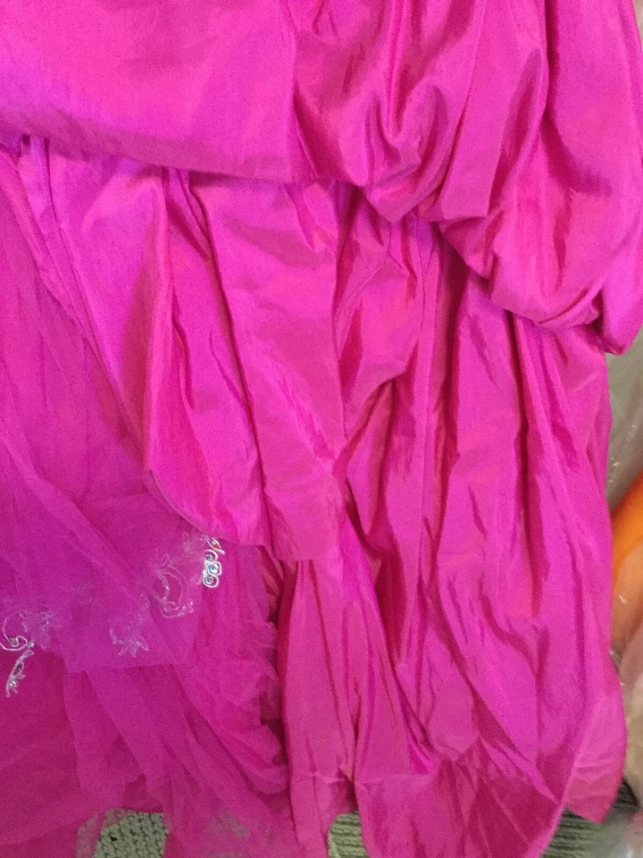 Forever Yours prom pageant quinceanera ball gown  embroidered Corset dress 8 - Image 3 of 4