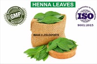 Henna Leaves Whole Heena Mehendi Tattoo Body Art Best Quality A Grade 1kg Henna Leaves Whole Heena Mehendi Tattoo Body Art Best Quality A Grade 1kg