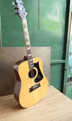 Akustikgitarre selten IBANEZ 'ARTIST Japan Re String professionell geprüft schön