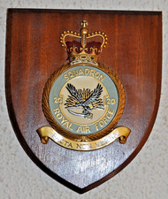20 Squadron Royal Air Force mess wall plaque shield crest RAF