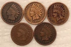 5 DIFFERENT Indian Head Cent Penny Lot Coins- 2 Will Be From The 1800s - #22