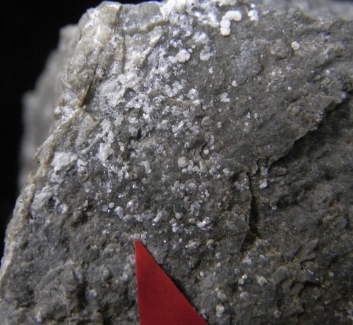 BAKERITE (BAK1) Mineral from Rio Gavottino, Italy - Picture 3 of 4