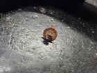 Bild 2 von 12