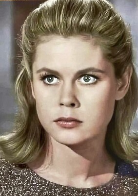  Elizabeth Montgomery  Beloved Actress Famous Celebrity 5X7 Glossy  BEWITCHED 