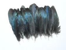 40 SMALL  MAGPIE WING FEATHERS,NATIVE AMERICAN.FLY TYING,ART&CRAFT,JEWELLERY