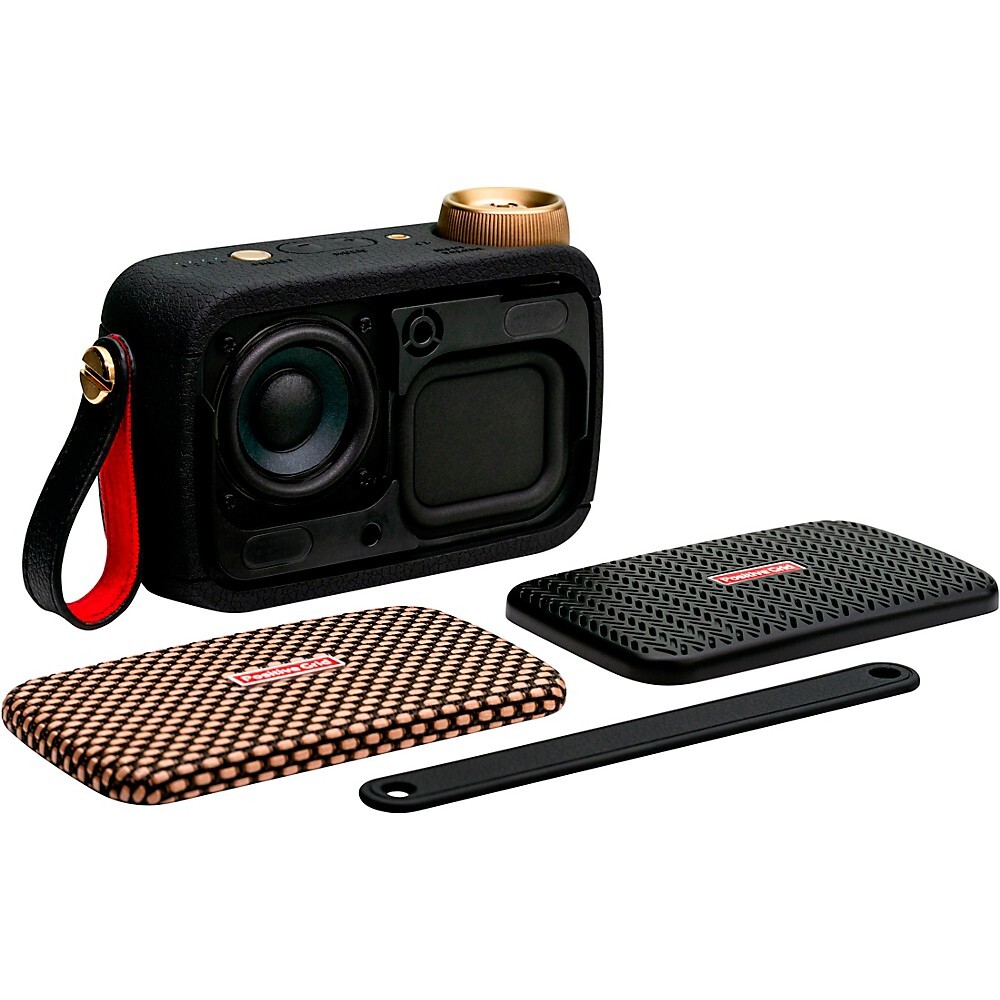 Positive Grid Spark GO