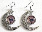 *BLUE WREN BIRD DOUBLE SIDED QUARTER MOON FILIGREE PENDANT EARRINGS - BRAND NEW*