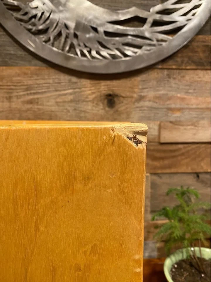 Porta discos Alvar Aalto estilo abedul madera contrachapada madera contrachapada Foto 3 de 3