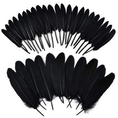 270pcs Black Goose Feathers for Crafts 2 Styles 4-7 inch Bulk Natural Feather...