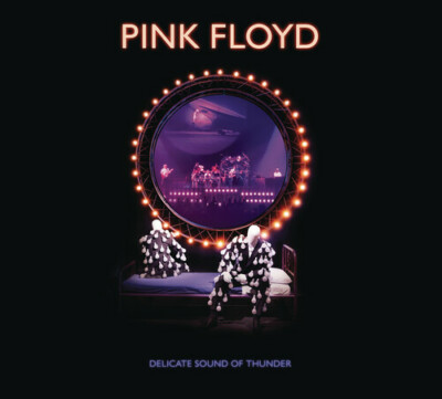 Delicate Sound of Thunder 2 cd by Pink Floyd (CD, 2020)