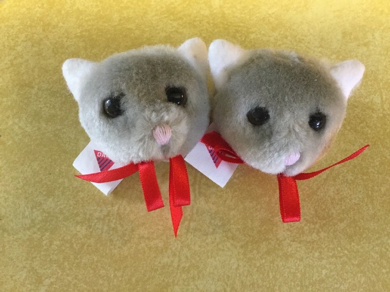 DAKIN Plush Kitty Cat Faces Shoe Backpack Decoration Ties
