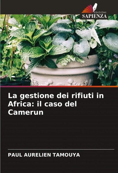 La Gestione Dei Rifiuti In Africa: Il Caso Del Camerun Paul Aurelien Tamouya-image