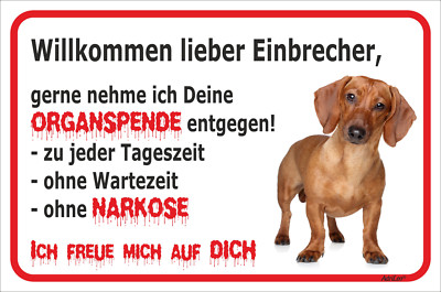 Dackel Rot Schild Vorsicht - Einbrecher - 15x20 - 40x60cm Teckel Hund Dachshund