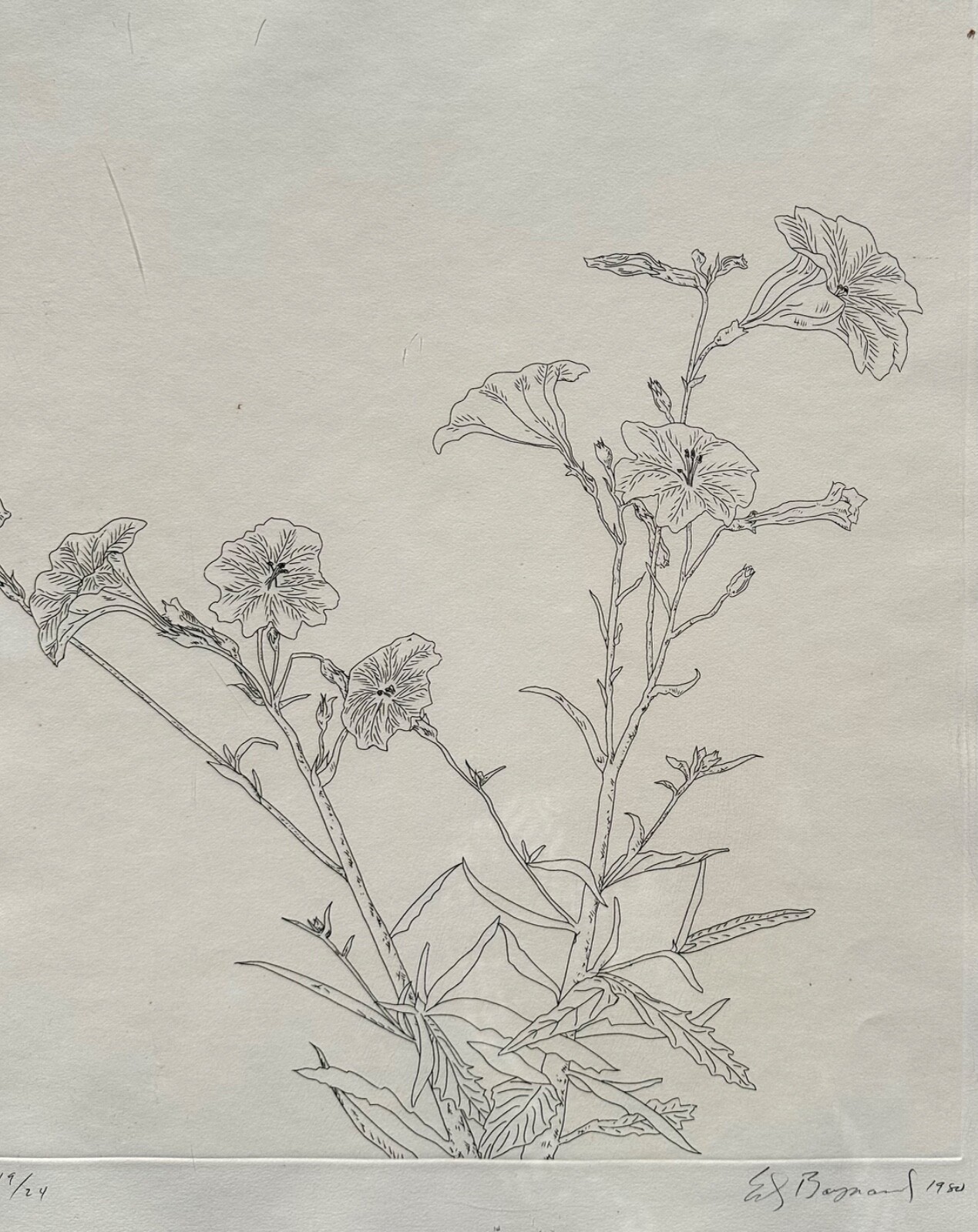 Picture 6 of 23