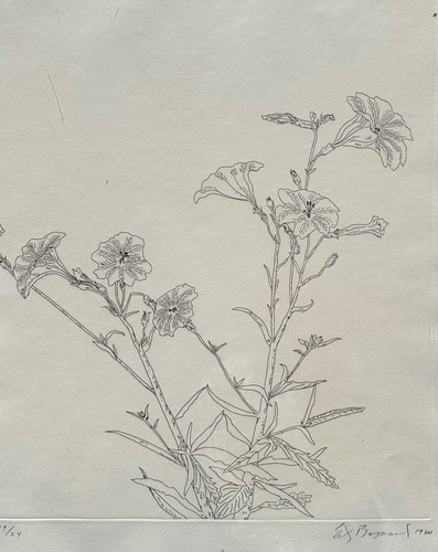 Ed Baynard (American, 1940–2016) Floral, Flowers Etching Framed - Picture 6 of 23