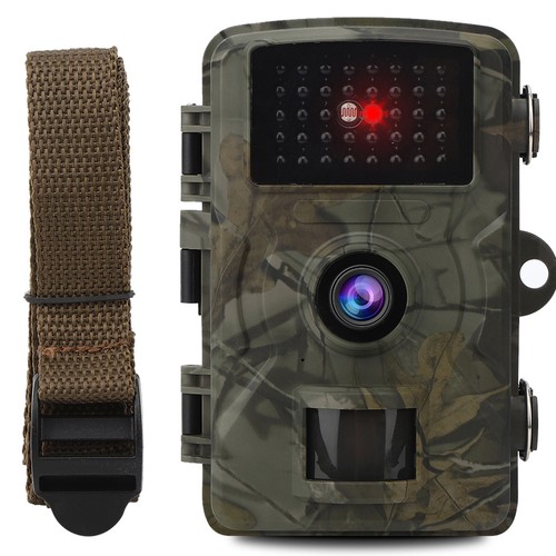 Cámaras detectoras de movimiento para exteriores para animales animales cámara con sensor de movimiento - Imagen 7 de 21