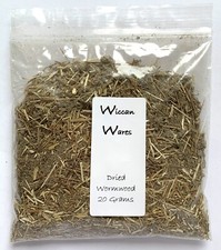 Dried Wormwood Herb For Casting Witches Spells Incense Burning Pagan