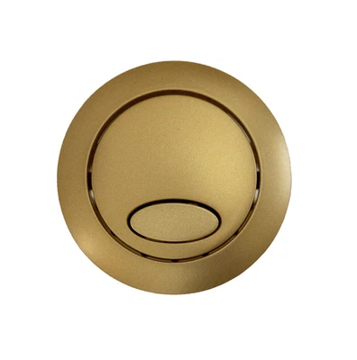 Fluidmaster Brushed Brass Flush Button for PR550 800P-026-P250