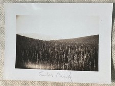 Vintage Photo Scenic View Estes Park Colorado Black & White 4" x 3"