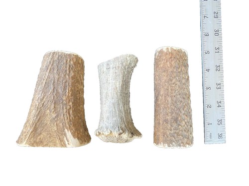 Power Chew Elk Bone Alternative Chew Toy Venison Tender | eBay