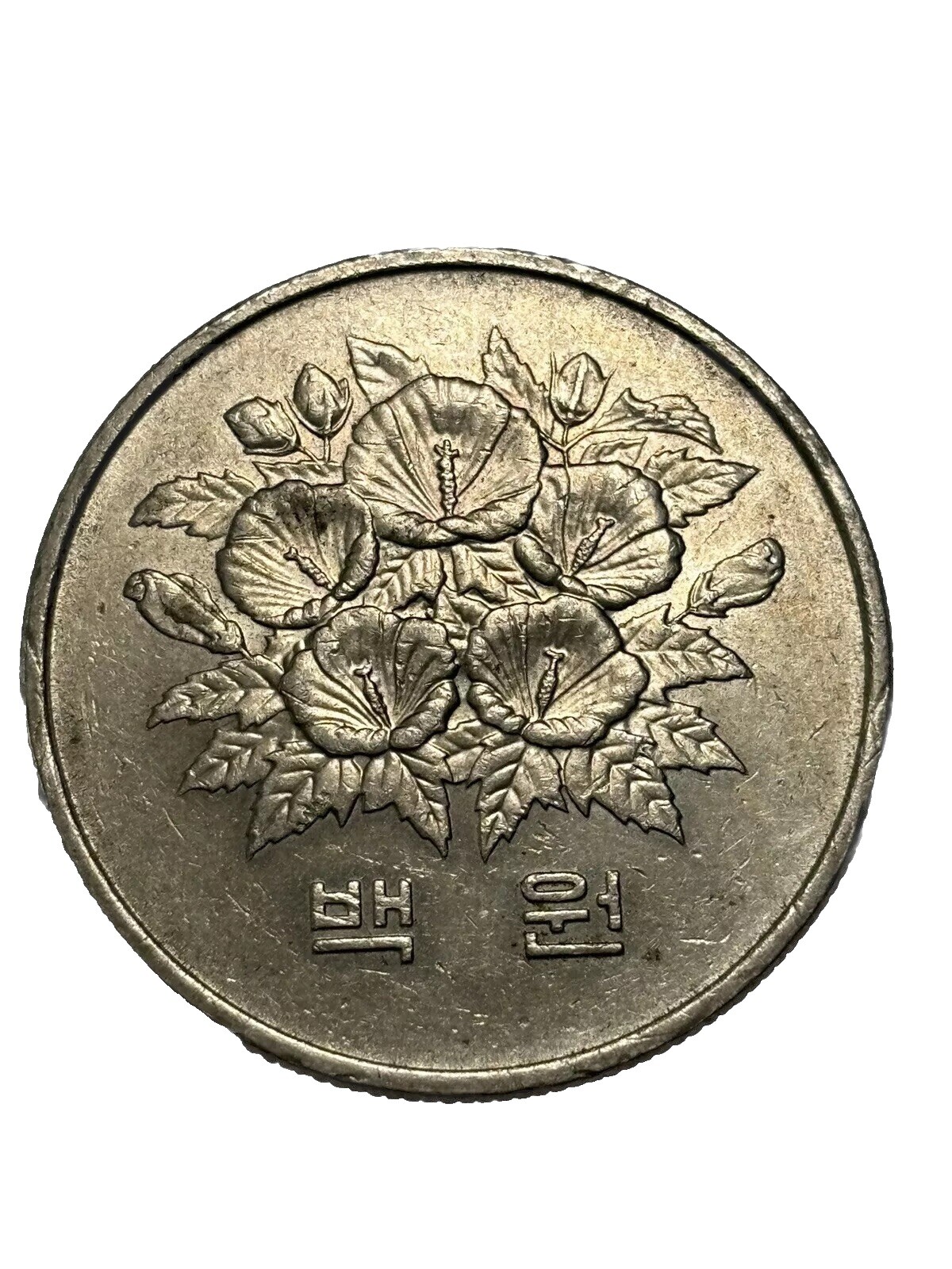 1 元1981 中华民国金币(1949-现在) 的人| eBay