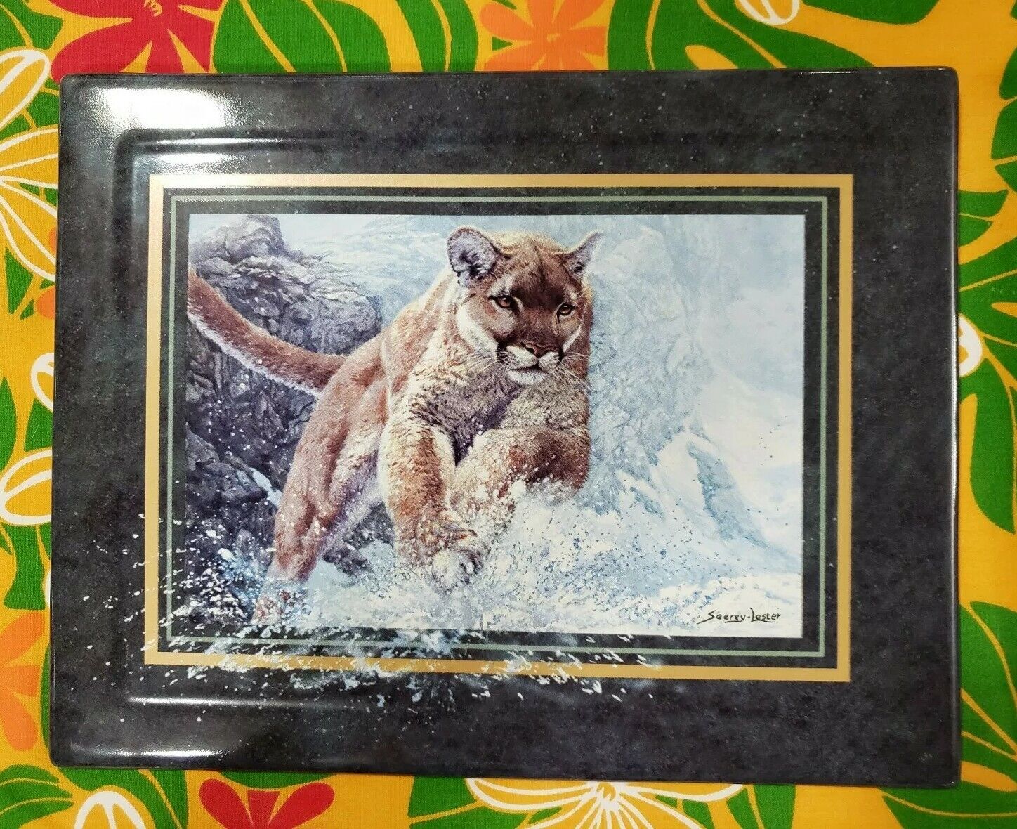 Picture 8 of 12