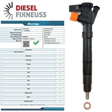 Einspritzdüse Citroen Peugeot Ford 2.0 HDi TDC 9674984080 28388960