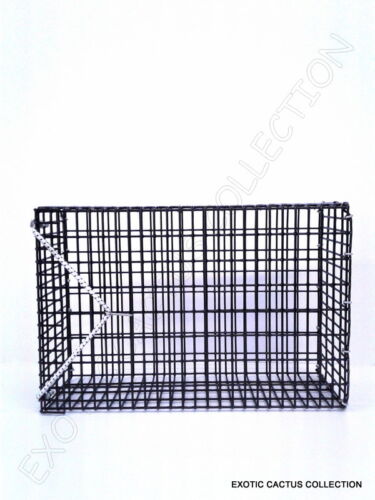 CHUM BOX Marine Grade PVC Beschichtung schwarz Draht Netz Topf Angeln Köder Käfig 12x8x4 - Bild 3 von 9