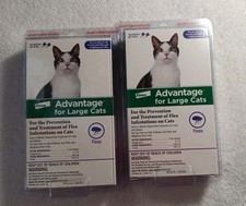 2 Advantage for Large cats 2 monthly doses YY36