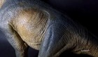 Foto 9 di 10