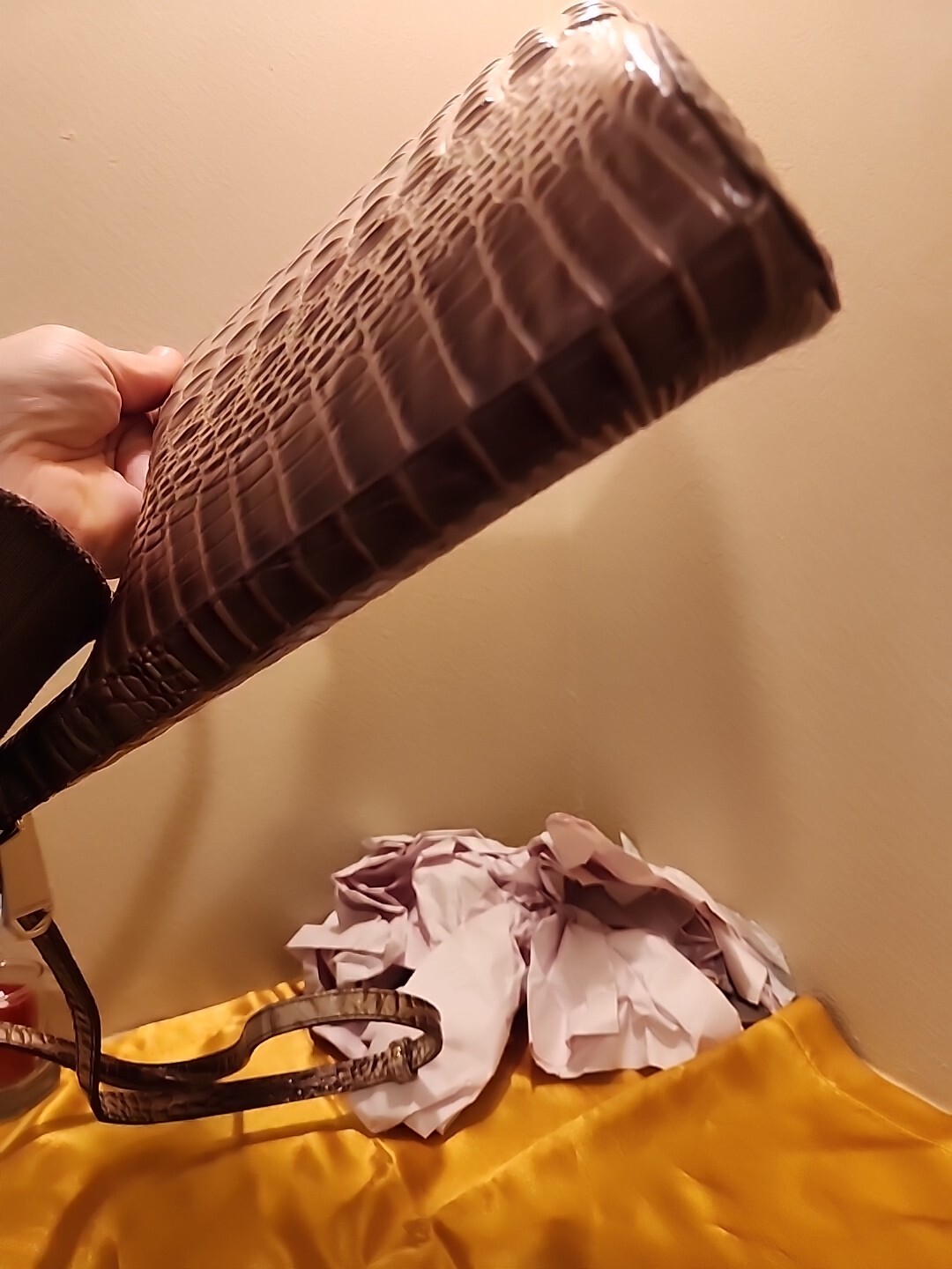 Brahmin Katie - image 14