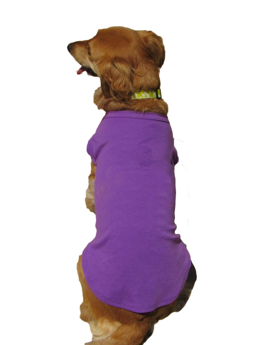 Plain dog clearance clothes