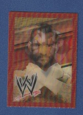 CM PUNK 2013 Paper Magic Mini 3D Valentine's Day Card WWE Wrestling Lenticular!