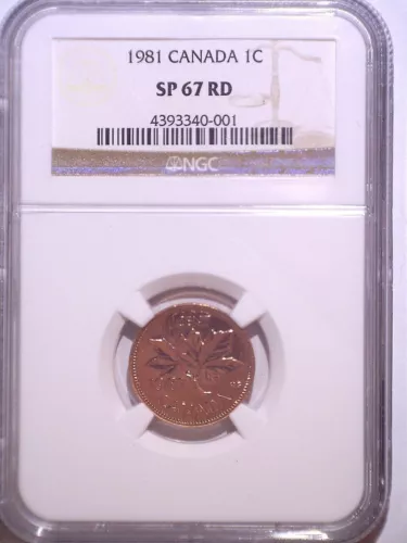 1981 NGC SP67RD Canada Specimen Small One Cent - Penny - 1C - RED