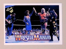 American Dream Sapphire &  Miss Elizabeth - 1990 Classic WWF #122 NM (E1)