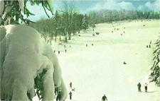 Lord Prayer Ski Slope At The Bombay Ski Area, Manchester, Vermont Postcard