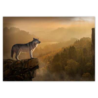 Vlies Fototapete Tapete Wandbild Wolf am Hang Nr. H7713_TV
