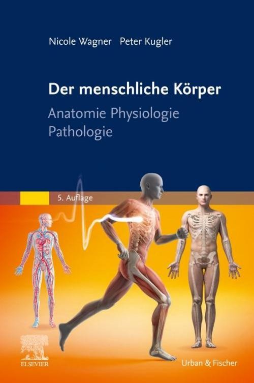 Der menschliche Körper Peter Kugler