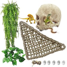Reptile Habitat Skull Decoration Bearded Dragon Tank Accessories Resin Human ...