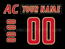 Grand Rapids Griffins Customized Number Kit For 2024-Present Home Uniform