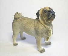 New Sealed Pug standing