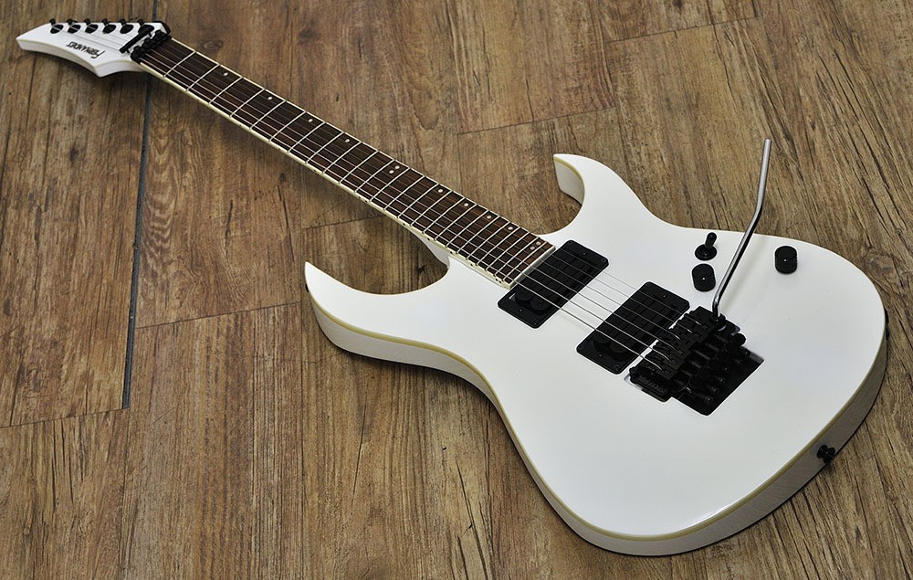 ギター FERNANDES fgz-standard FERNANDES FGZ-STANDARD | eBay