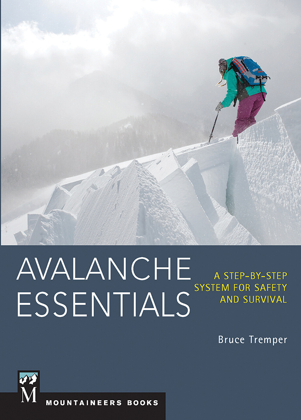 Avalanche Essentials: Полное руководство по безопасности в снежных видах спорта от Брюса