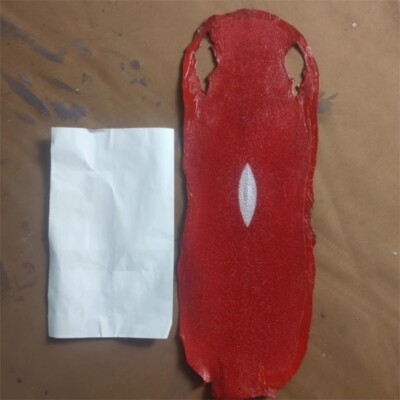 Stingray Shagreen Fish HIDE Skin Unpolished Leather Hide Pelt DIY Craft Material