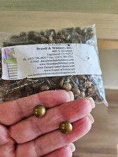 Brandt  Whitney 3/8" Round Brass Upholstery Furniture Nail Heads 440 pcs