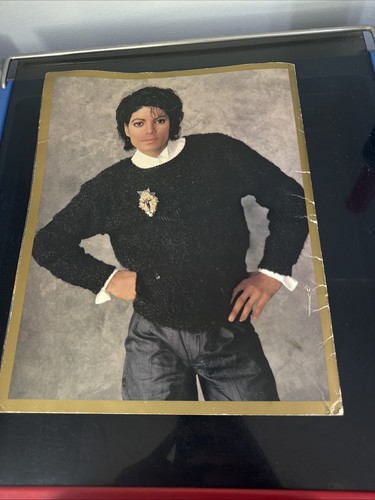 JACKSONS 1984 VICTORY TOUR CONCERT PROGRAM Michael Jackson - Picture 6 of 6