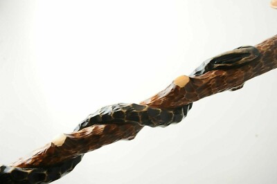 Custom Walking Cane Eagle & Snake Hiking Stick Hand Carved