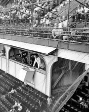 Jim McKay in CBS Press Box at Brooklyn Dodgers Ebbets Field 1955 Photo