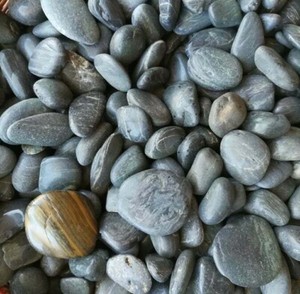 Pietre Di Fiume Nere Per Acquario O Terrario Ebay