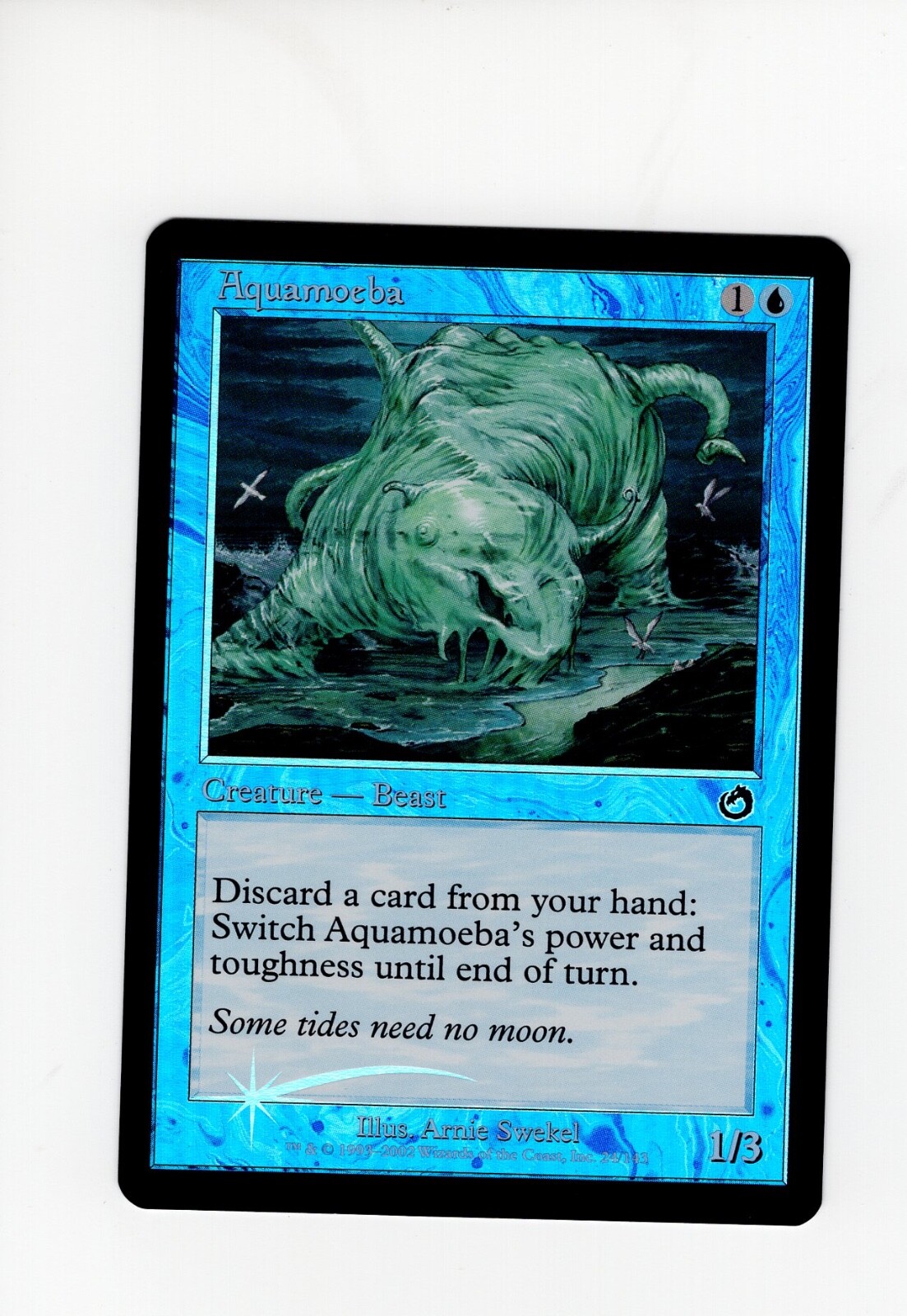Aquamoeba LP light clouding Torment FOIL MTG Magic the Gathering